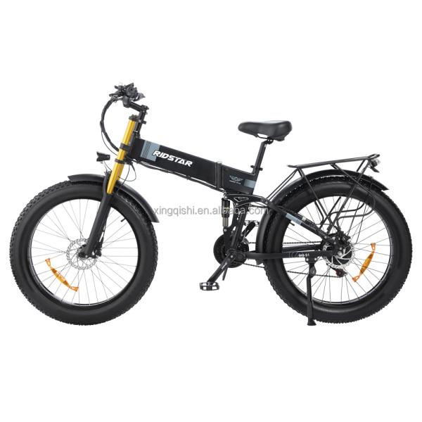 Customizable Women Folding Fat Tire Electric Bike Dirt Ebike 48V 14Ah