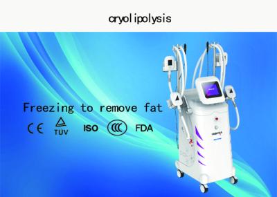 Professional Cryolipolysis Fat Freeze Slimming Machine 4 Handles Available