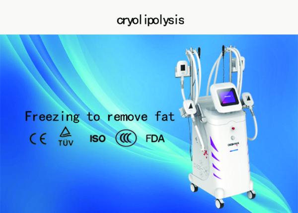 Professional Cryolipolysis Fat Freeze Slimming Machine 4 Handles Available