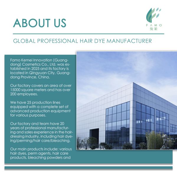 Crème colorante professionnelle permanente pour salon de coiffure, qualité cosmétique OEM