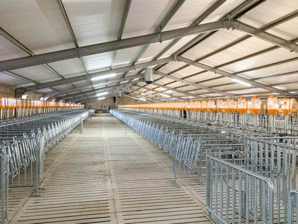 Покрашенные изготовленные коровьи сараи Стальная конструкция Конструкция для конюшен