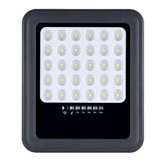 SMD 2835 LED Solar Powered Flood Lights 100W High Power Waterproof Long Lifespan