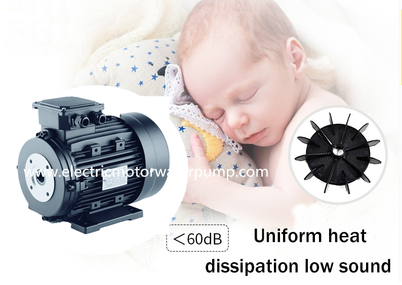 Мотор 100Л2-4 3КВ/4ХП низкого ядрового полого вала гидравлический с утверждением ИСО