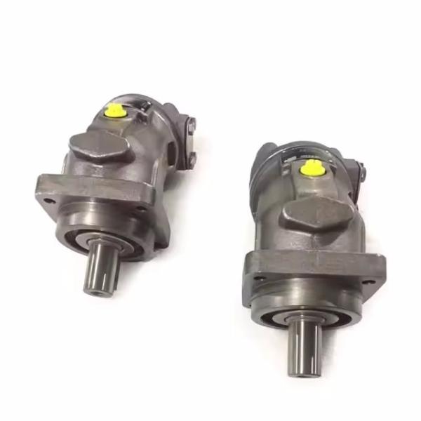 Série A2FO Bolt Axis Piston Pump A2FO10 A2FO12 A2FO16 Rexroth Parts For Drilling Rigs