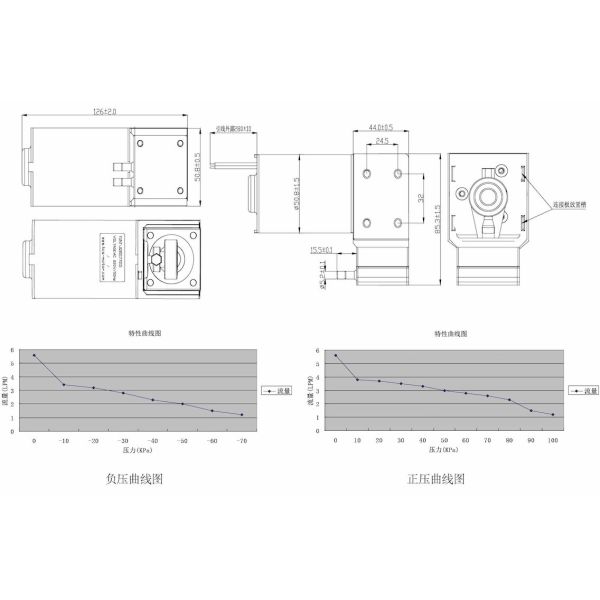 Massager Micro Vacuum Pump AC110V - 220V DC110V - 220V Diaphragm Air Pump