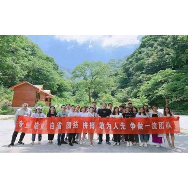 Dongguan Chenzhou Trading Co., Ltd.