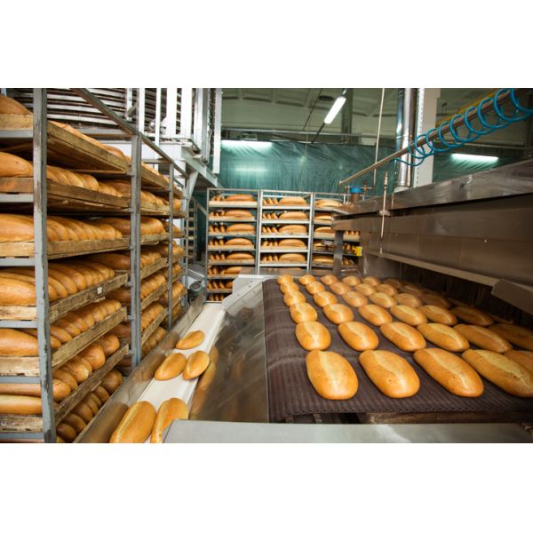 Good Price 1 Deck 2 Tray Gas Oven for Baking Shop Bread Bakry Equipment