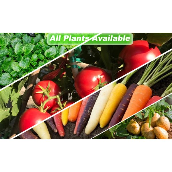 7*11.5*1.4 FT 0.6MM Thickness Metal Garden Planter Box Breathable bottom