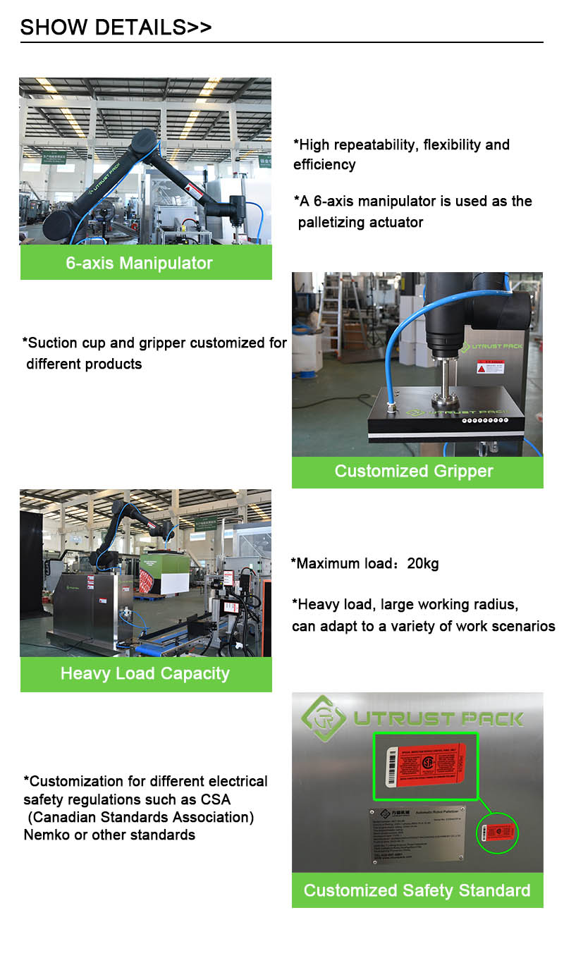 6 Axis Collaborative Robot Arm for Palletizing with High Repeatability, Large Working Radius, and Stainless Steel Construction