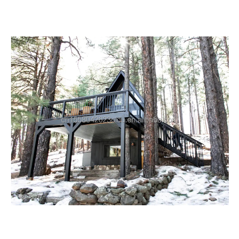20ft or 40ft Container Modern Design EU Triangle Shape Steel Structure Wooden Houses with A-Shaped Steel Structure Frame Room