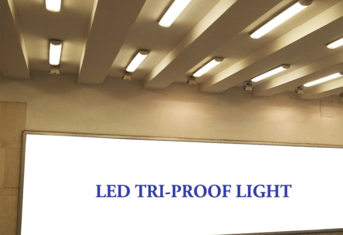 IP65 36W LED Tri-Proof For Supermaket Metro By China Supplier CE ROHS Certificate