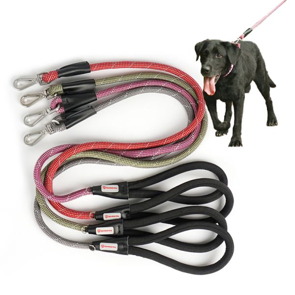 Purple Dog Walking Leash Colorful Pet Walk Running Nylon Slip Lead Double Rope