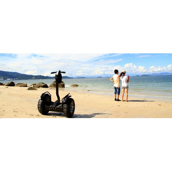 Patented Electric Chariot Scooter Yellow Green 6 Axles Gyroscope With Golf