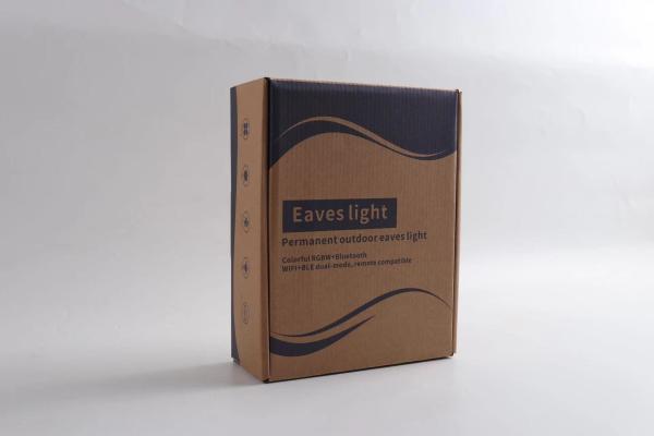 Vente à chaud Décoration de Noël Ip67 imperméable à l'eau Rgbic Led Permanent extérieur
