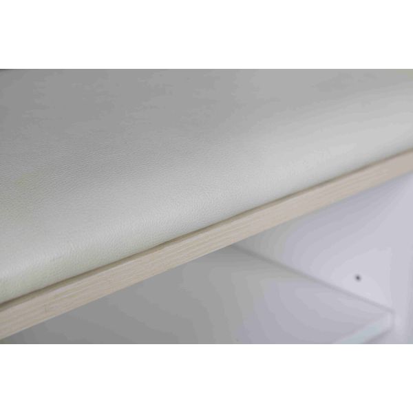 White Modern Narrow Home Shoe Cabinet Cushion Bench With PB Board Frame