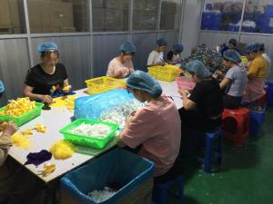Shenzhen Wo Silicone Technology Co., Ltd.