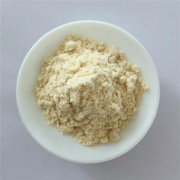 Best Selling Products Antibacterial Buy Apigenin With Best Price