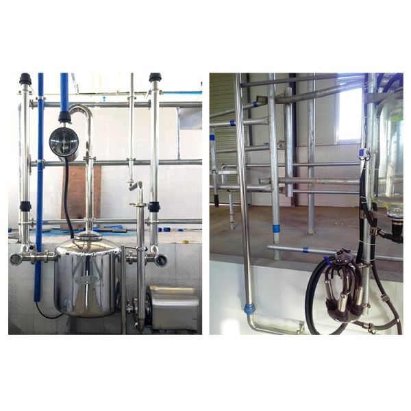 Big 110v 20 Stalls Herringbone Milk Parlor For Cow Milking