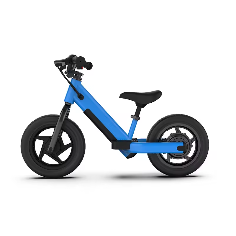 2024 AOTONG MOTOR Electric 2 Wheel Balance Scooter with Disc Brake and 16