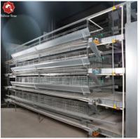 La cage H de poulet de batterie de cage de production animale dactylographient 6 couches