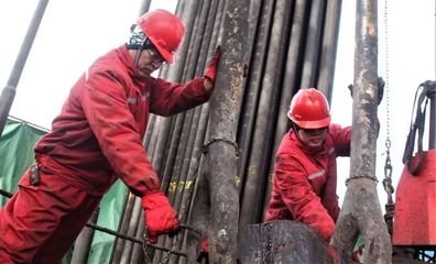 8 1/2' Rock roller palm 215mm Roller palm  single cone and leg
