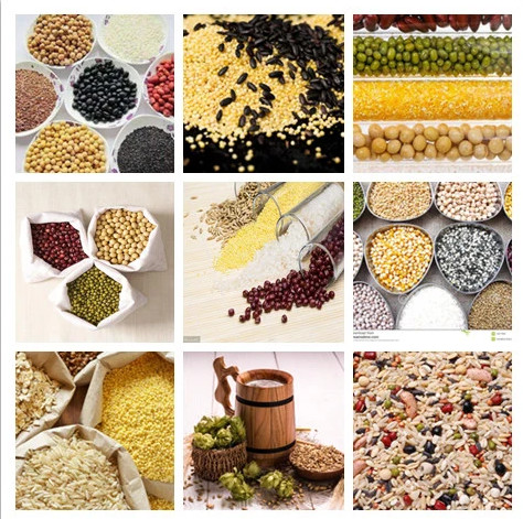 balanza de leche en polvo del pollo de 3.0L 304SUS