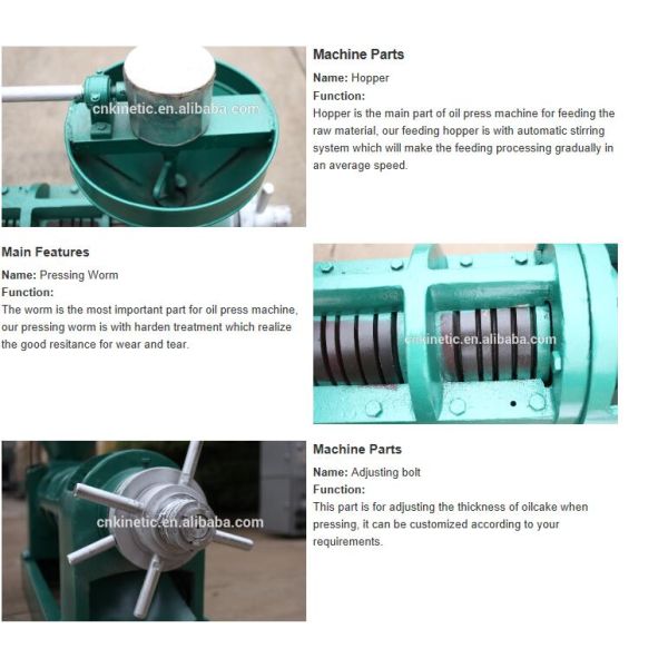 Max 50 kg/h Capacity Soybean/Sesame Peanut Oil Press/Expeller/Processing/Extraction Machine for Healthy Oil Extraction