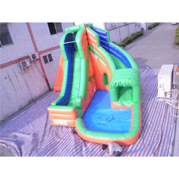 Forest Inflatable Water Slide (CYSL-20)