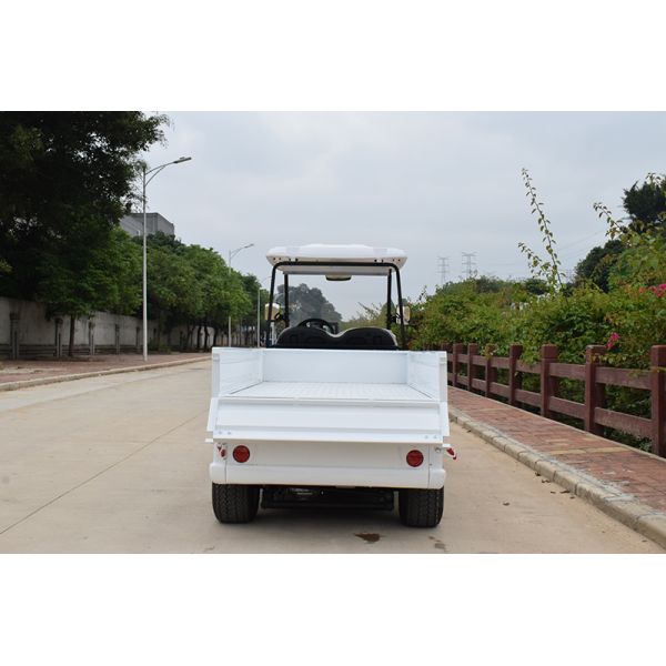 Outdoor Two Seater Electric Golf Carts With Utility Cargo Curtis 350A Controller