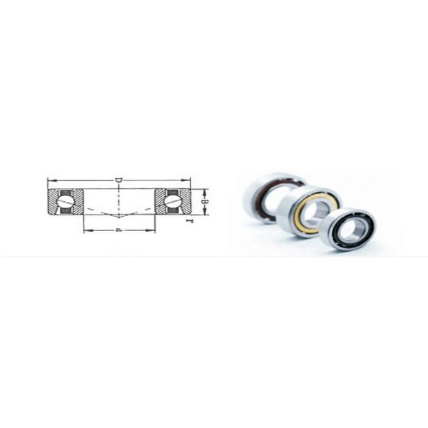 P4 V1 - V4 Angular Contact Bearing For Water Pump / Spindle
