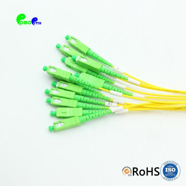 1x24 Fiber Optic Splitter ABS Cassette Module Type With Fanout 2.0mm SC APC