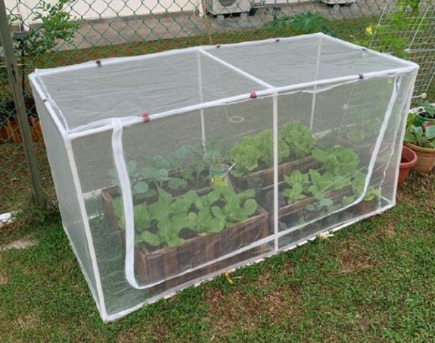 3m Width  Anti Insect Netting 50 Mesh For Vegetable Greenhouse