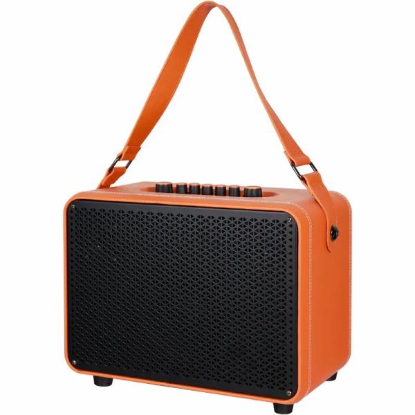 OEM Rechargeable Portable Karaoke Bluetooth Speaker 6.5 Inch For Party