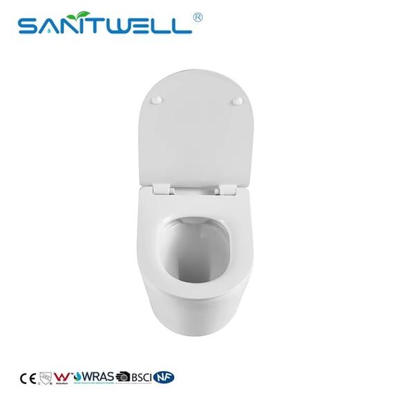 Luxury Sanitary Ware Hot Selling Models Washdown Rimless Flushing Wall Hung Toilets WC