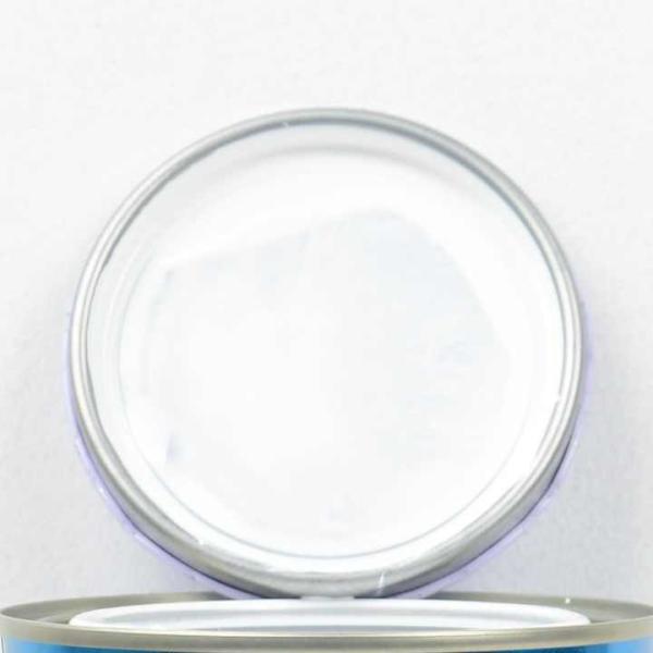 Glossy Automotive Acrylic Lacquer