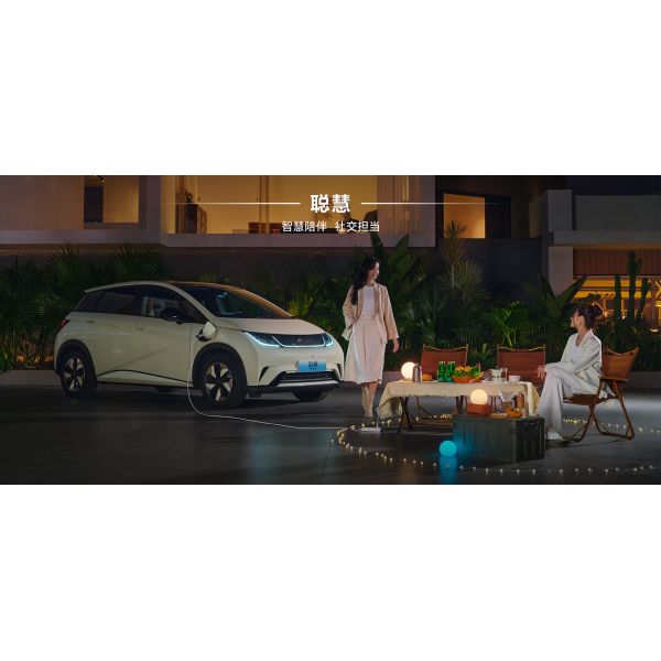 4WD 2024 BYD Dolphins Electric Car Compact New Energy Vehicle