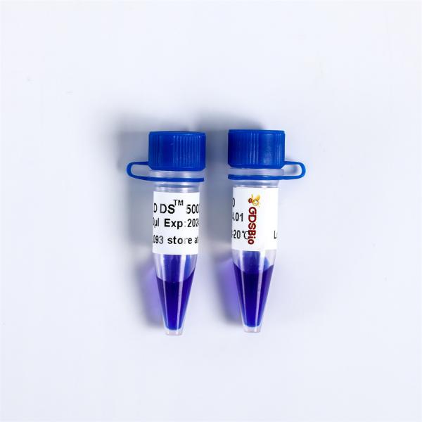 GDSBio Pre Staining Gel LD DS 5000 DNA Marker Electrophoresis Blue LM1111 LM1112