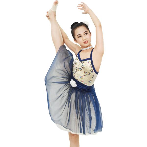 Ballet Dance Tutu Dress Competition Performance Wear Sweetheart Bodice Ballet Costume fairy princess