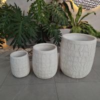 Superficie texturizada de plantación de arcilla reforzada moderna para estilo minimalista