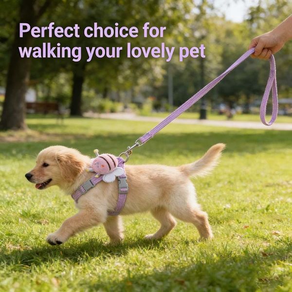 Pet Harness Set, Soft Breathable Walking Harness, Bulk Wholesale & Private Label for EU US Pet Retailers