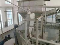 Fully-Automated Industrial Turnkey Production Plant for Sea Salt Washing