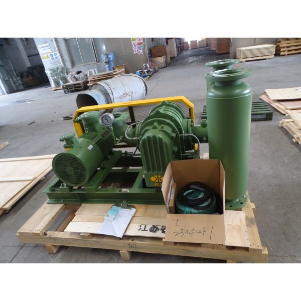 BX125  5'' 6.49-20.01 m³/min 0.1-0.7 kgf/cm² BK Stainless Steel Air Roots Blower