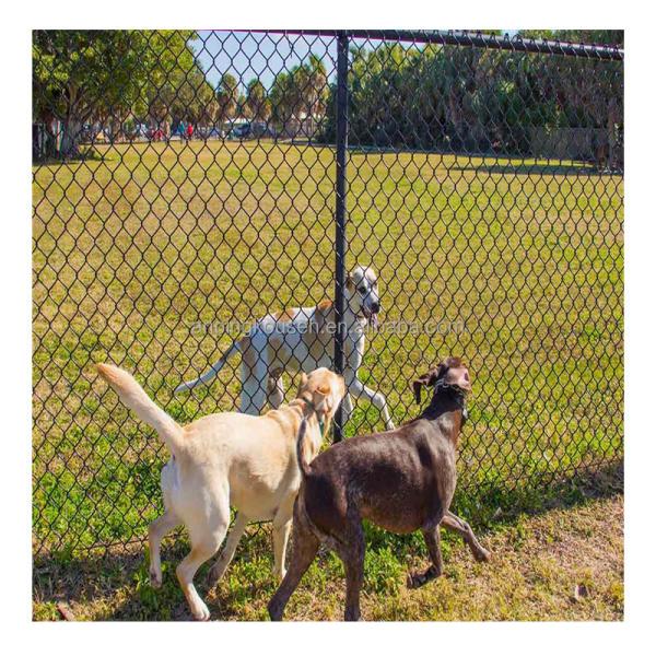 Farm Fence Chicken Wire Temporary Fence/Chicken Fencing/Safety Fencing with Pvc Coated