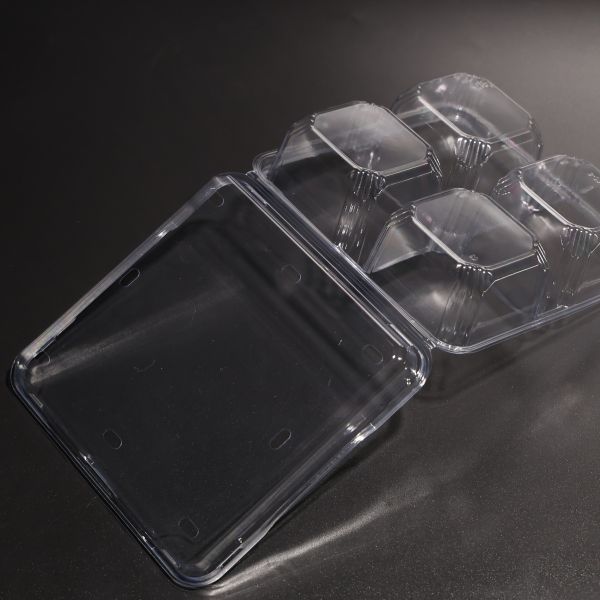 4 Compartment PET Food Container With Lid For Fresh Fruit And Vegetable