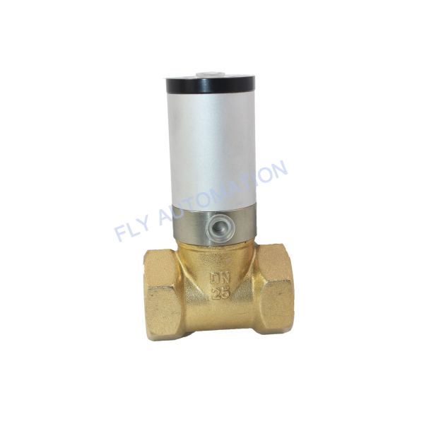 Q22HD-25 DN25 Q22HD-15 Pneumatic Solenoid Valves