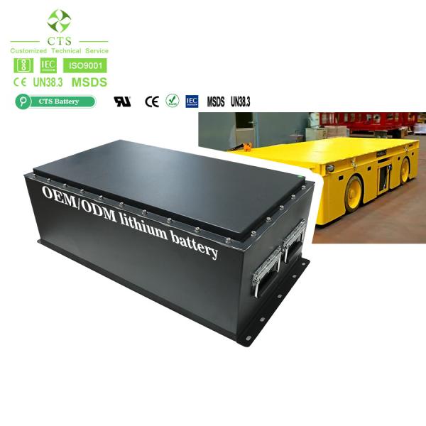 380*210*245mm 48V 300ah Lifepo4 Batteries for Customize Golf Cart from CTS
