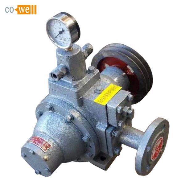 5.5kw bomba de desplazamiento positivo para COWELL pequeña bomba de GLP de 1 pulgada 1.5 pulgadas 2 pulgadas bombas Vane