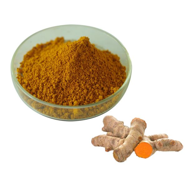 Natural Curcumin 95% Turmeric Extract Powder For Healthcare Supplement