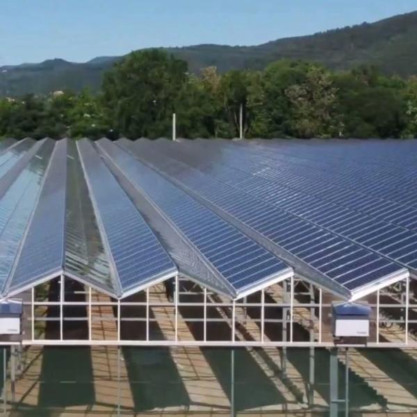 Estufas de arco único de alta umidade com telhado arcado/Venloche e painéis solares