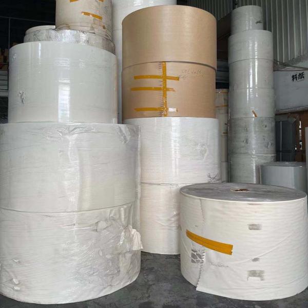 Single PE Laminated for Cup,paper cup raw material raw papers ukraine raw black rolling paper